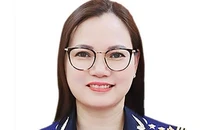 Lý do nữ Cục trưởng Cục Hải quan Hà Nam Ninh bị bắt