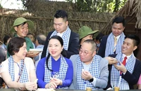 Khơi dậy nguồn lực trí thức kiều bào để phát triển đất nước
