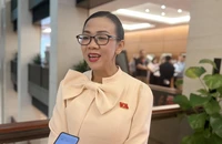 Những giải pháp cốt lõi để không còn 'tiếng kêu ai oán giữa rừng xanh'