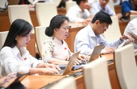 Nhắc đến Vân Đồn, TP.HCM, đại biểu đề xuất nghiên cứu Luật Khu thương mại tự do 