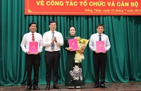 Tỉnh ủy Đồng Tháp công bố các quyết định về tổ chức và cán bộ