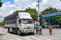 Đi nhập học, 2 mẹ con nữ sinh tử vong vì va chạm ô tô tải