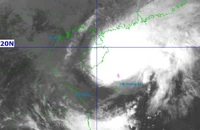 Bão Thần Gió cách Đà Nẵng 420 km, Cục Đường bộ yêu cầu lãnh đạo sẵn sàng có mặt tại hiện trường