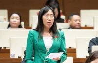 Tranh luận: Có nên trao quyền giám sát cho Tổ đại biểu HĐND