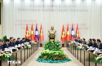 Tuyên bố chung Việt Nam- Lào