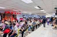 Số ca cấp cứu dịp Tết ở TP.HCM tăng mạnh