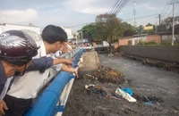 Công an vào cuộc vụ bờ kè tiền tỉ bị sập sau cơn mưa