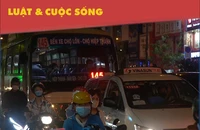 Người dân TP.HCM háo hức đón chờ xe buýt mini