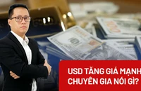 Video: USD tăng giá mạnh, chuyên gia nói gì?
