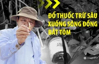 Trailer điều tra: Đổ thuốc trừ sâu xuống sông Đồng Nai bắt tôm 