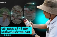 VIDEO Điều tra - Kỳ 2: Cận cảnh rượt đuổi và vớt tôm nhiễm thuốc trừ sâu trên sông Đồng Nai