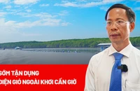 Cần sớm tận dụng điện gió ngoài khơi Cần Giờ