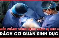 Cấp cứu thành công bệnh nhân bị heo táp, rách cơ quan sinh dục