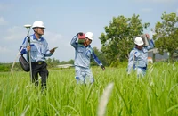 Tây Ninh đẩy nhanh tiến độ giải phóng mặt bằng cao tốc TP.HCM - Mộc Bài