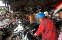 Biên phòng Tây Ninh rà soát toàn tuyến sau loạt điều tra 'xe không giấy vùng biên'