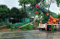 Mưa lớn làm cây xanh, trụ đèn đổ chắn ngang Quốc lộ 20
