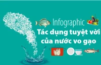 Tác dụng tuyệt vời của nước vo gạo