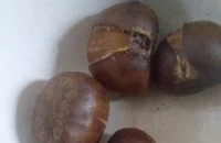 Những lợi ích bất ngờ từ món hạt dẻ 