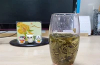 Những điều cần biết trước khi uống trà xanh