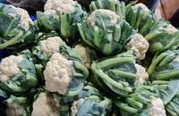 Lý do nên bổ sung chất xơ vào chế độ ăn uống