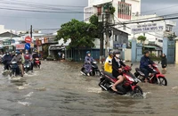 Triều cường ở Cần Thơ vượt mốc lịch sử 2019