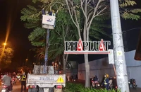 TP.HCM thử nghiệm cắt tỉa cây vào ban đêm để giảm kẹt xe