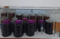 TP.HCM đề xuất phải có điều kiện bắt buộc việc mua rượu, bia với trẻ vị thành niên
