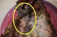 Xử lý ra sao nếu nhà hàng bán thực phẩm có giòi?