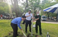 Quận Tân Phú, TP.HCM vận động người dân trồng cây để phát triển mảng xanh