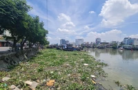 TP.HCM sẽ chi hơn 8,5 tỉ đồng để vớt rác trên sông Sài Gòn