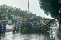Mưa 'trắng trời' xuất hiện nhiều nơi ở TP.HCM