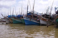 Tình hình biển khu vực Nam Bộ ra sao trong ngày bão Yagi đổ bộ?