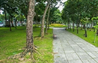 TP.HCM chỉ mới thực hiện 7/75 dự án xây dựng công viên công cộng 