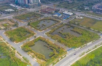TP.HCM sẽ thu hơn 23.000 tỉ nghĩa vụ tài chính đối với 8 khu đất ở khu đô thị mới Thủ Thiêm