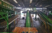 Các dự án đốt rác phát điện ở TP.HCM vẫn chậm, do đâu?