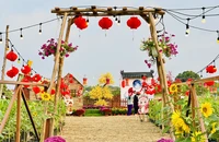 Độc đáo trang trí hội hoa xuân từ 1.000 cây bắp và 1.000 cây hoa hướng dương