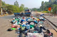 TP.HCM gia tăng các điểm ô nhiễm môi trường