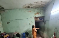 TP.HCM sẽ triển khai kế hoạch cải tạo, xây dựng lại 31 chung cư cũ trong năm nay