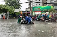 TP.HCM giải quyết 19 điểm ngập thường xuyên bằng cách nào?