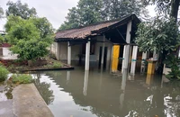 Chiều tối nay, TP.HCM dự báo có mưa nhiều nơi, cảnh báo triều cường trên mức báo động