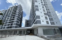 Những thông tin cần biết về mã định danh bất động sản