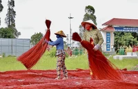Đồng Tháp khôi phục chợ chiếu đêm bằng tour du lịch ‘chợ ma Định Yên’ 