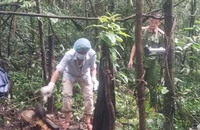 Phát hiện bộ hài cốt trong rừng nghi là đối tượng truy nã 