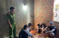 4 thanh niên sử dụng ma túy xong đi ngủ, mở mắt dậy thấy Công an đợi sẵn