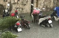 Một công ty dịch vụ công ích nợ 3 năm tiền phí quản lý chung cư