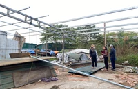 Hà Nội: Hàng chục hộ sản xuất tự tháo dỡ xưởng mộc trên đất nông nghiệp