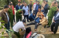 Lai Châu: Phá chuyên án, thu giữ 10 bánh heroin
