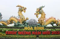 Cận cảnh linh vật rồng 'song long chầu nguyệt' ở Hòa Bình