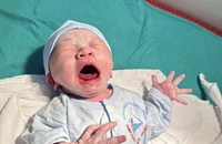 Phú Thọ đón những em bé 'Rồng vàng’ đầu tiên của năm mới