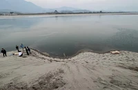 Về quê chơi tết, 2 cha con đuối nước thương tâm